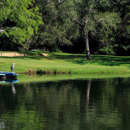 Magnolia Springs Bed And Breakfast מראה חיצוני תמונה